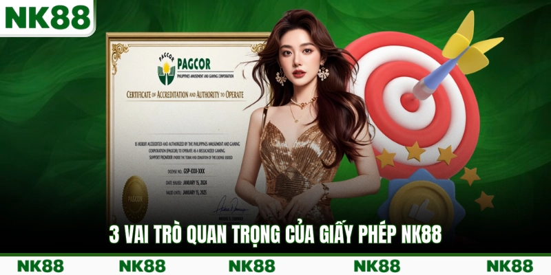 3 vai trò quan trọng của giấy phép NK88