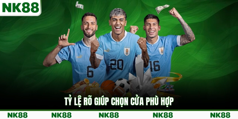Tỷ lệ rõ giúp chọn cửa phù hợp